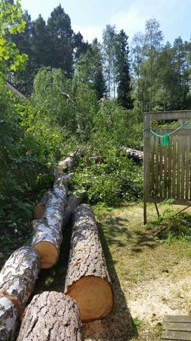 metsapalveluvastamaa