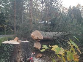 metsapalveluvastamaa