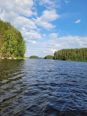 metsapalveluvastamaa