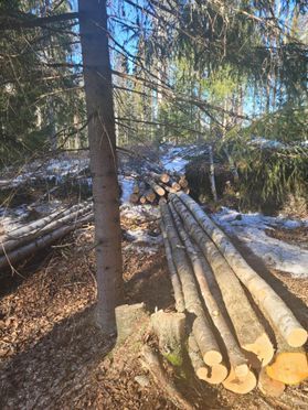 metsapalveluvastamaa