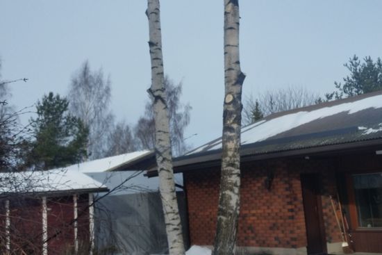metsapalveluvastamaa
