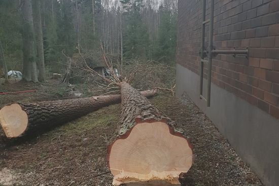 metsapalveluvastamaa