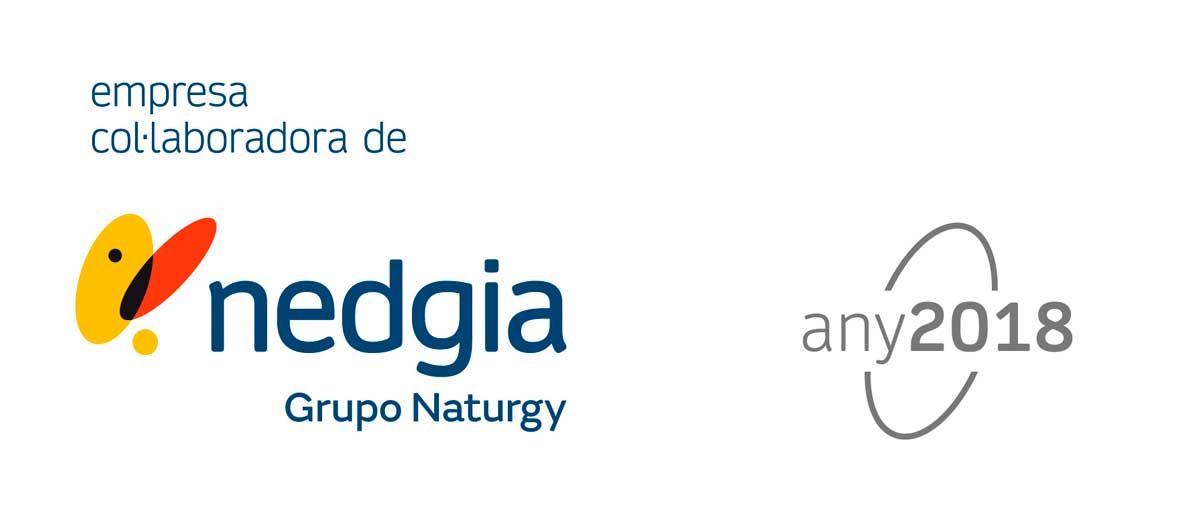 Logotipos para Nedgia (Grupo Naturgy), any2018 y Naturgy (mariposa naranja).