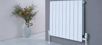 Radiador blanco junto a un jarrón con flores secas.