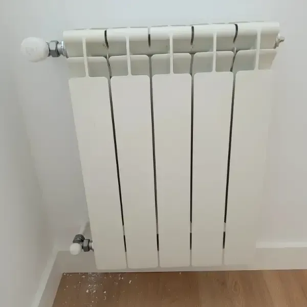 Calentador blanco sobre pared blanca