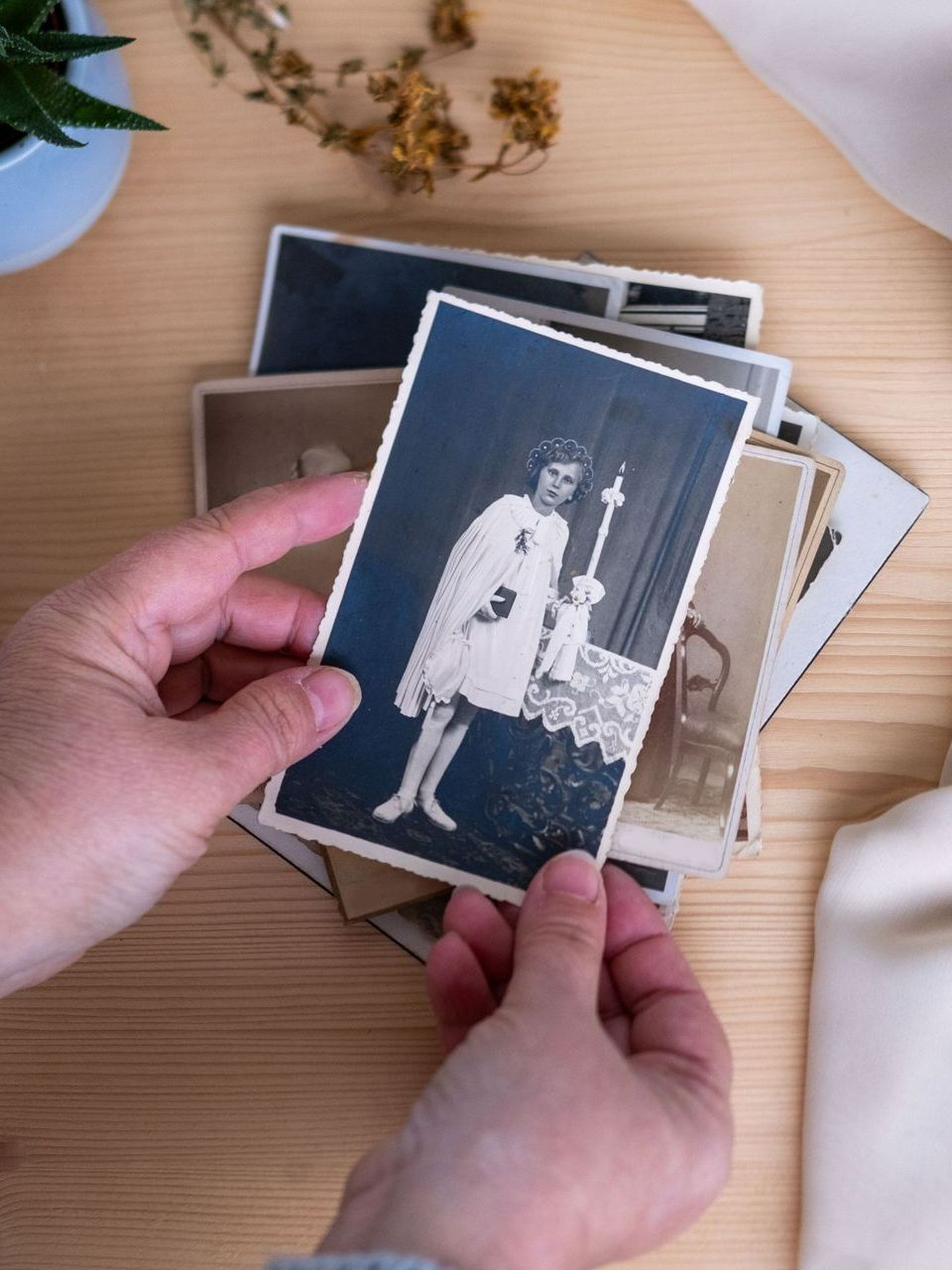 Quelqu'un tient des photos anciennes