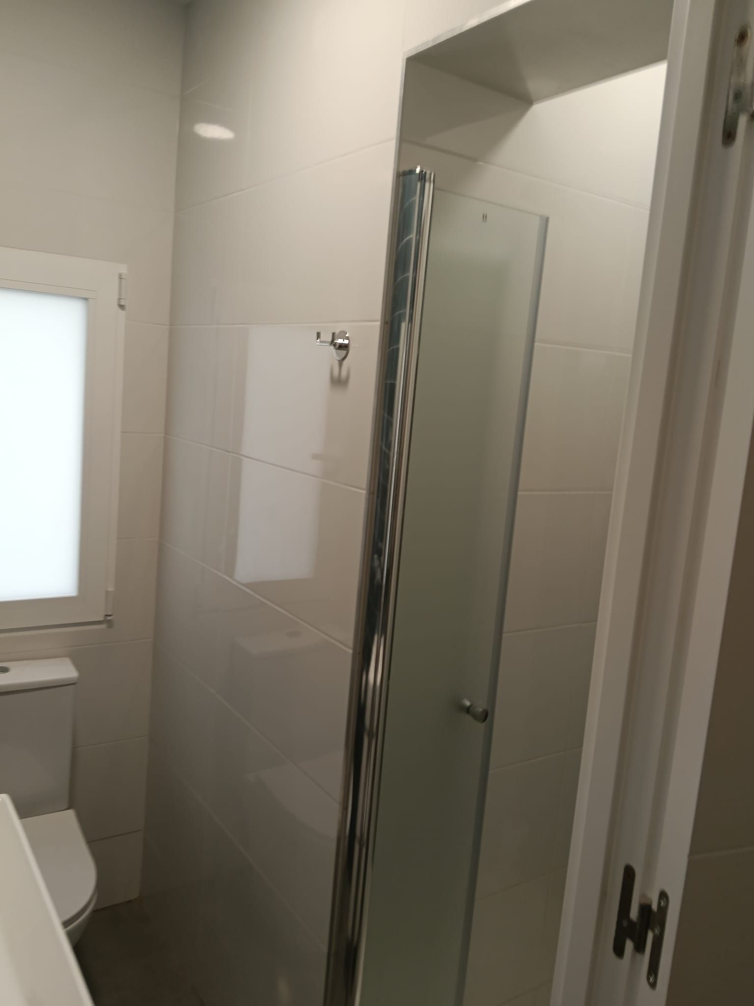 Baño pequeño con ducha, puerta de vidrio esmerilado e inodoro parcialmente visible.