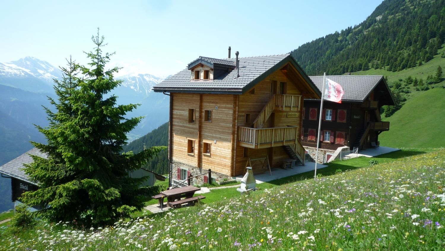 CHALET RIEDERALP1