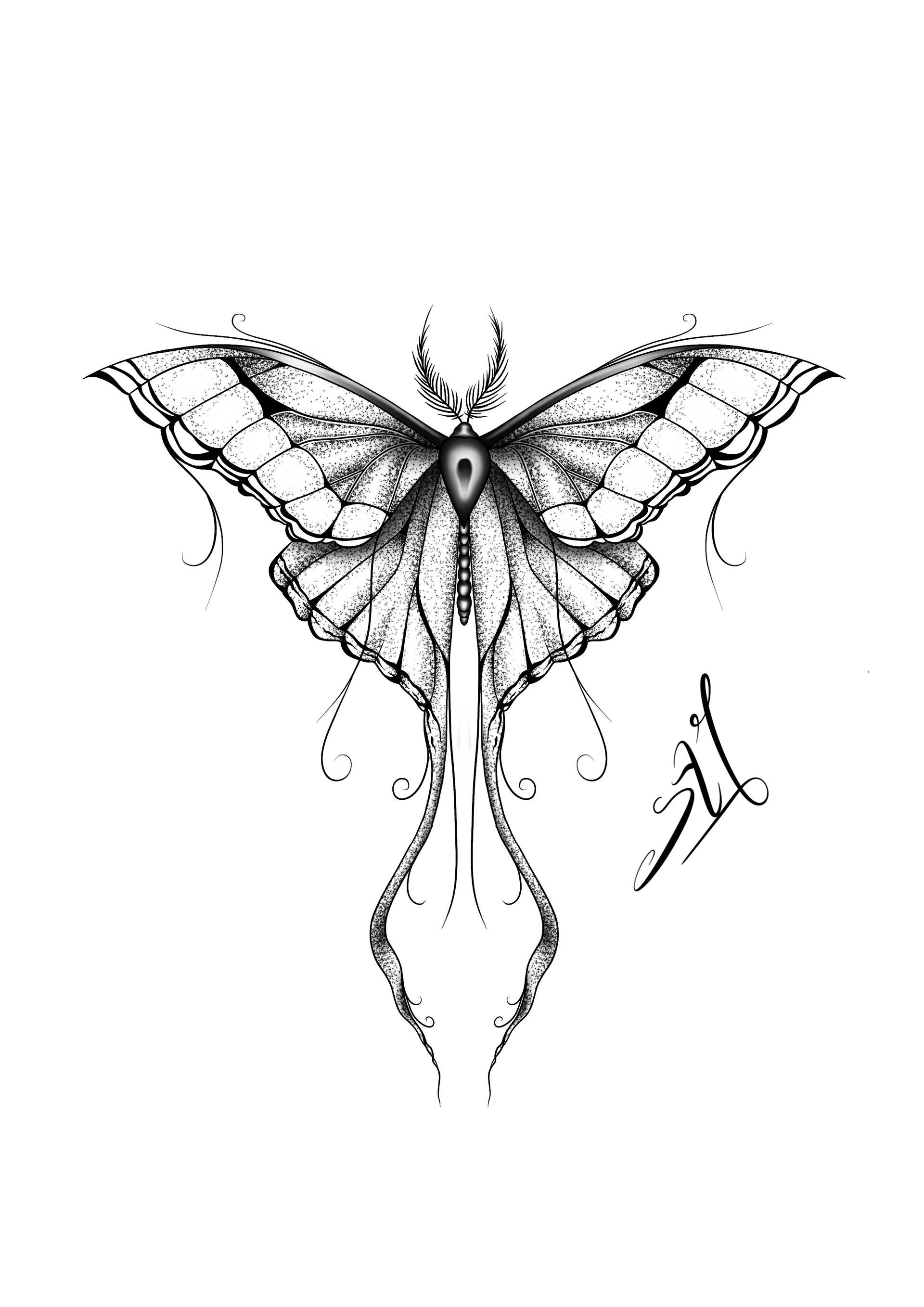 Lien vers la page dessin