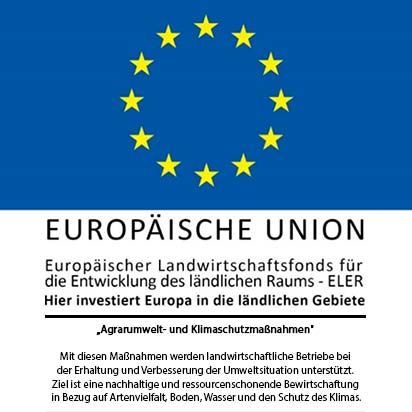 Ein Logo für die Europäische Union mit gelben Sternen auf blauem Hintergrund