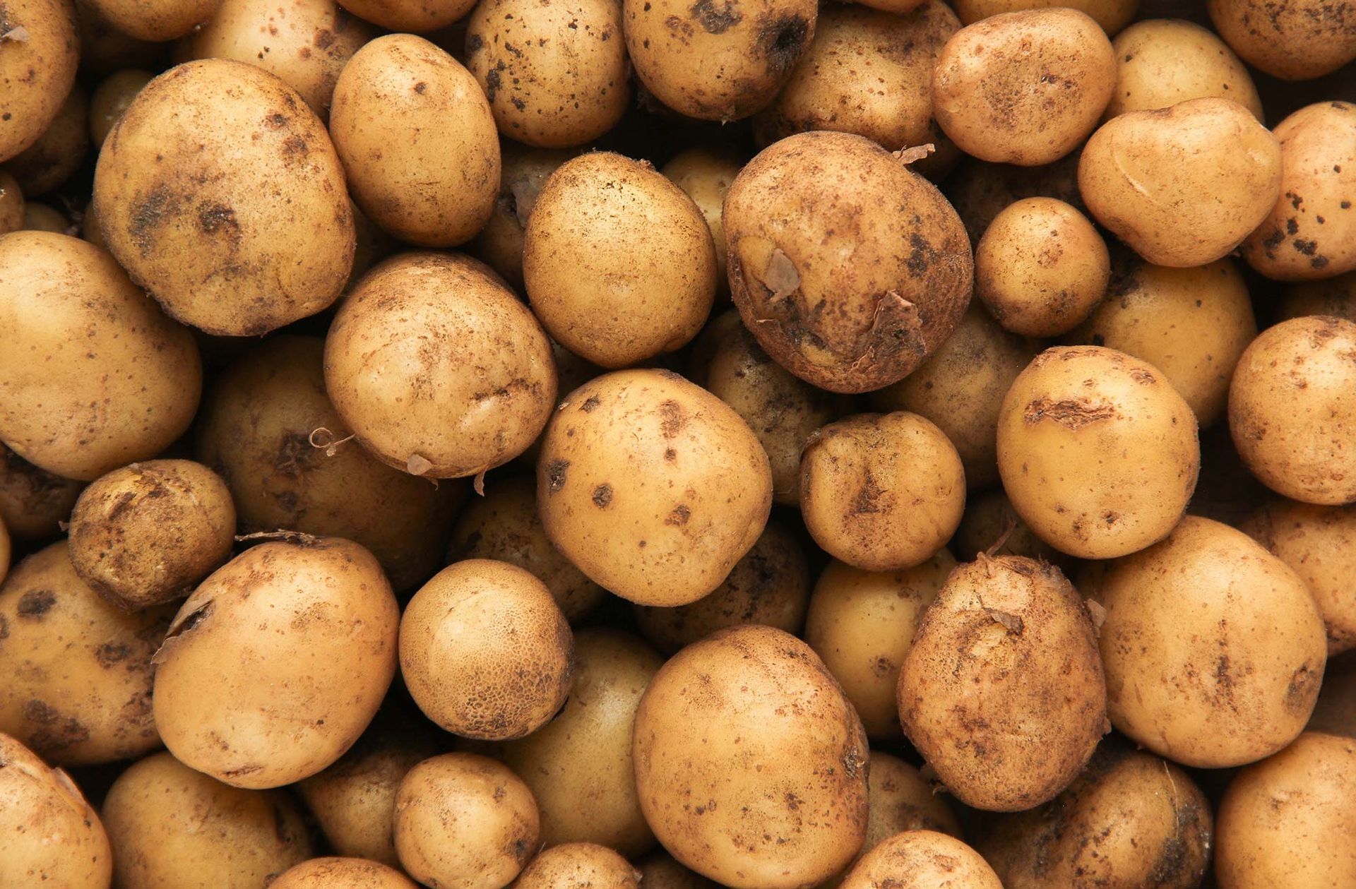 Ein Stapel Kartoffeln, die übereinander auf einem Tisch liegen.