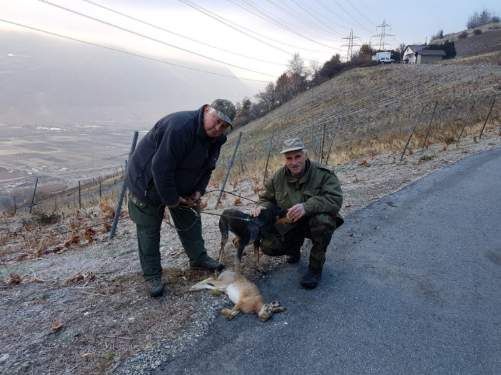 Groupement romand du club suisse du chien courant