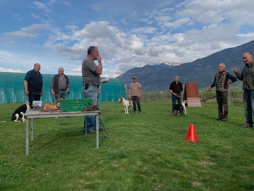 Groupement romand du club suisse du chien courant