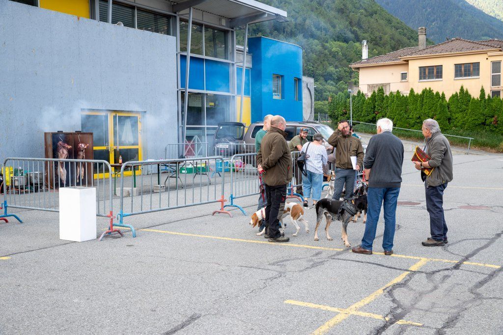 Groupement romand du club suisse du chien courant