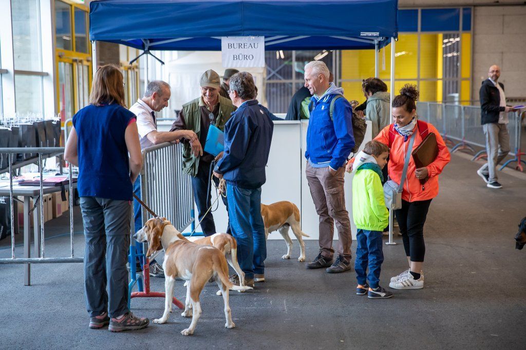 Groupement romand du club suisse du chien courant