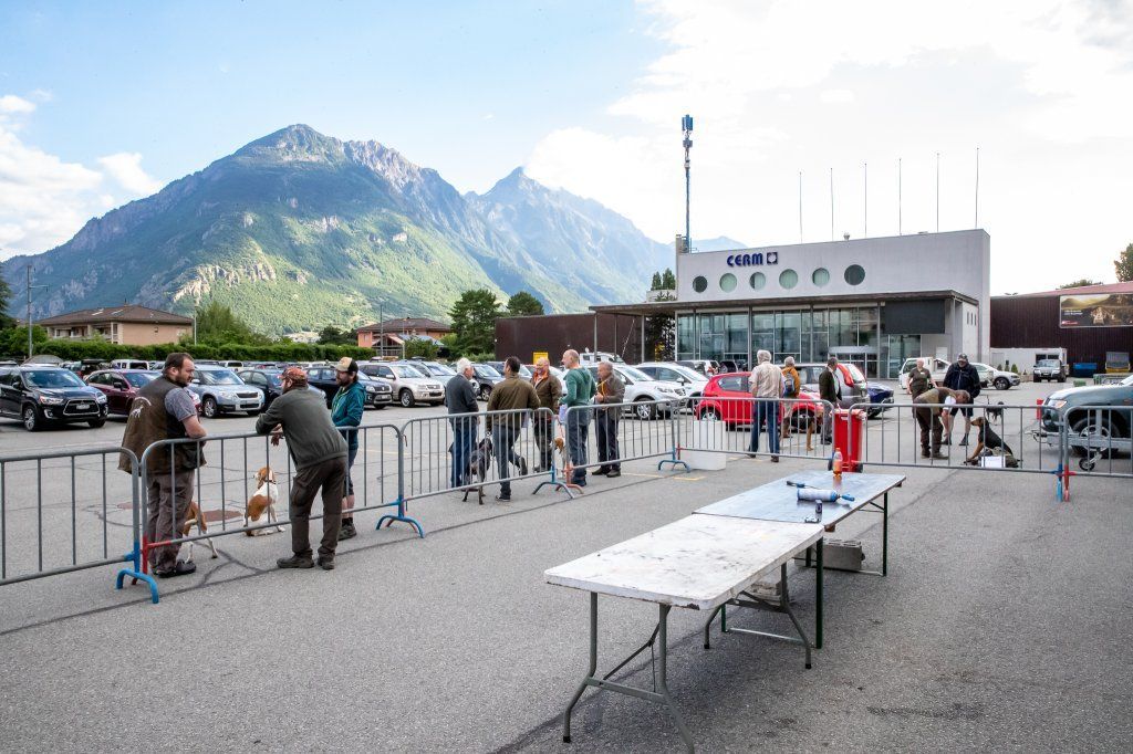 Groupement romand du club suisse du chien courant