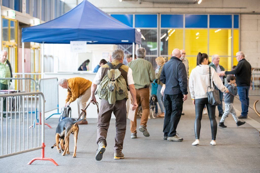 Groupement romand du club suisse du chien courant