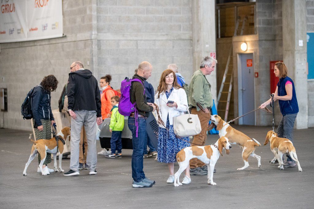 Groupement romand du club suisse du chien courant