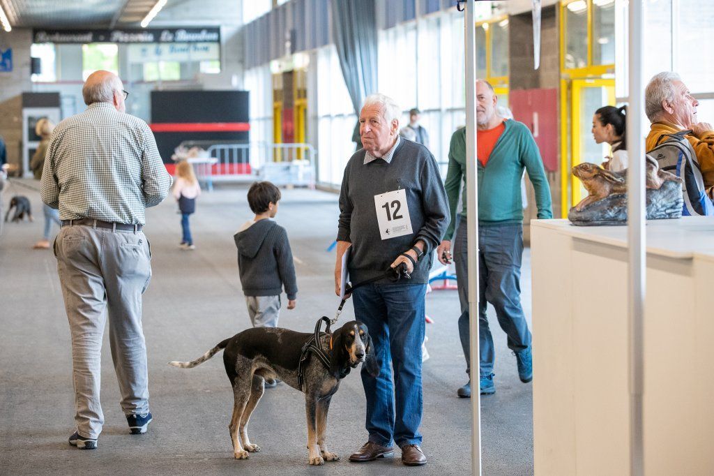 Groupement romand du club suisse du chien courant