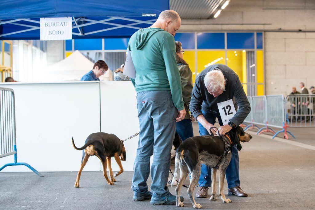 Groupement romand du club suisse du chien courant