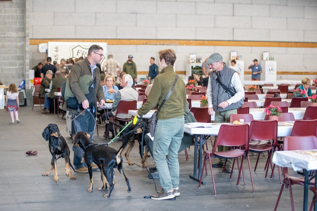 Groupement romand du club suisse du chien courant