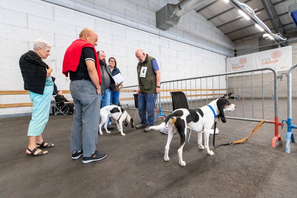 Groupement romand du club suisse du chien courant