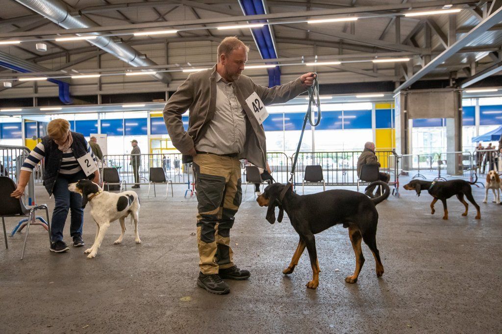 Groupement romand du club suisse du chien courant