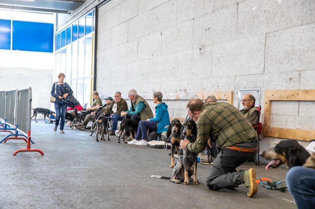 Groupement romand du club suisse du chien courant