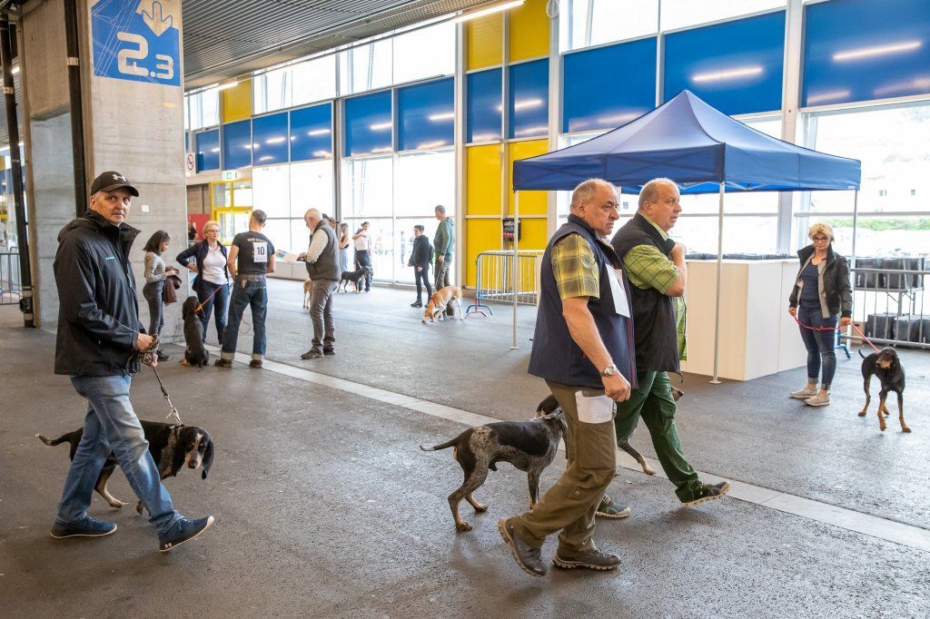 Groupement romand du club suisse du chien courant