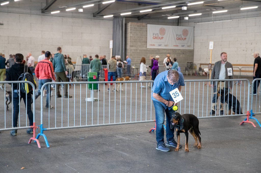 Groupement romand du club suisse du chien courant