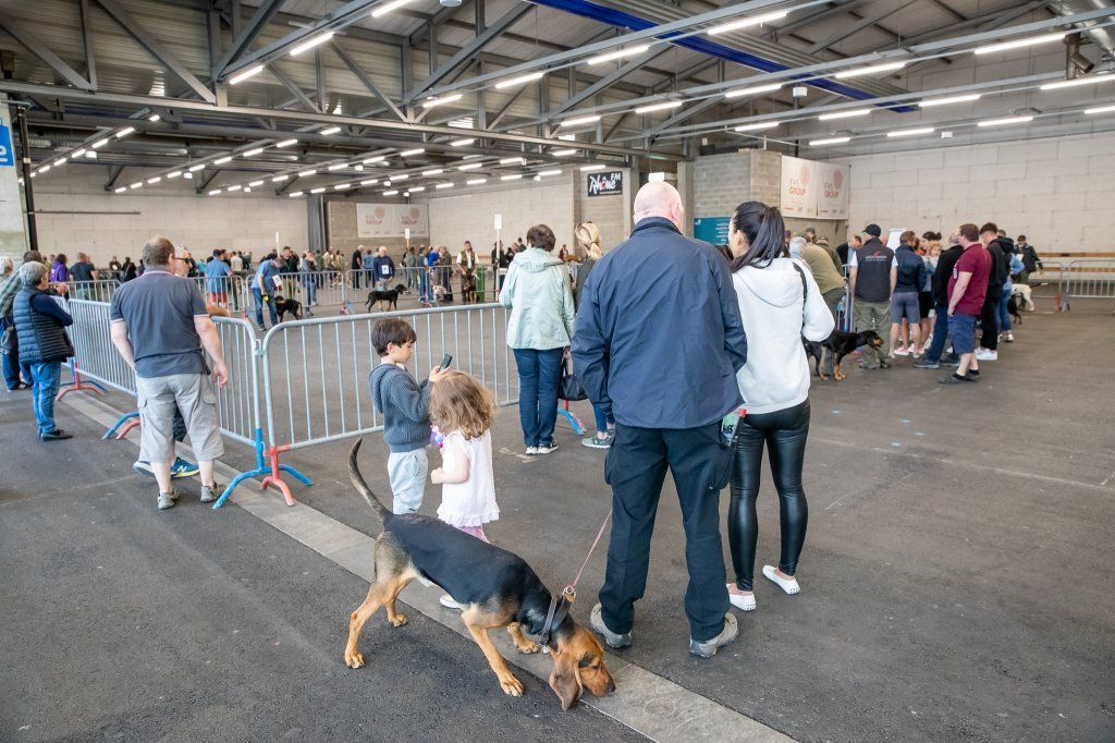 Groupement romand du club suisse du chien courant