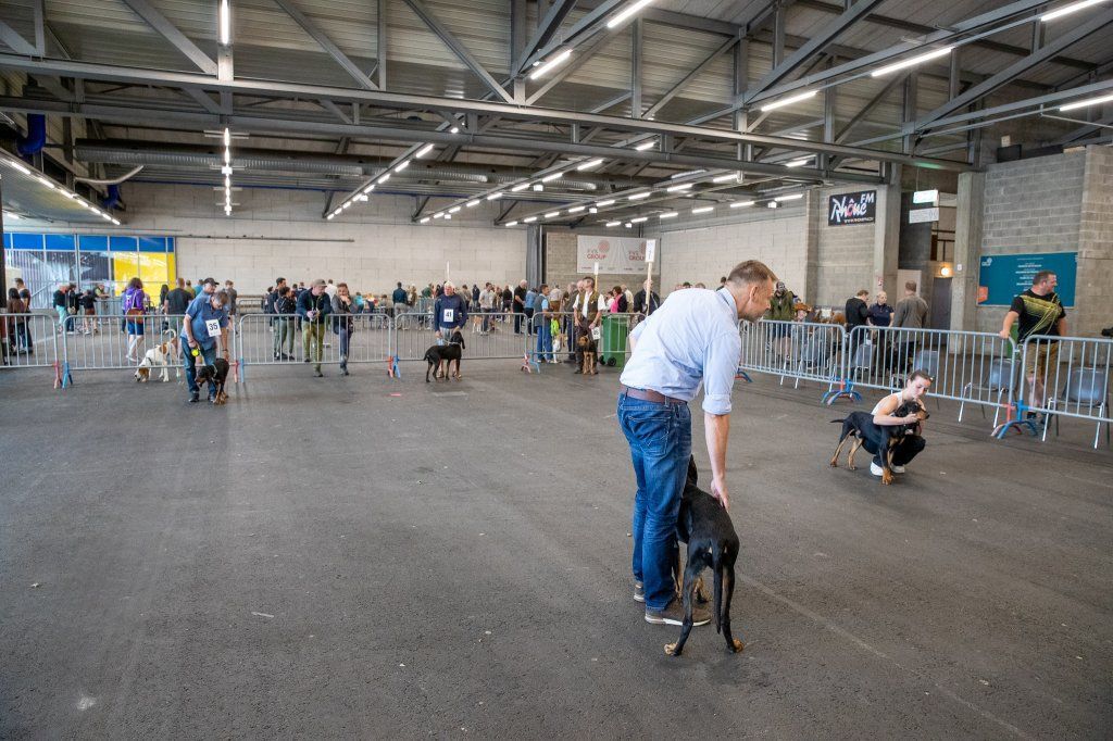 Groupement romand du club suisse du chien courant