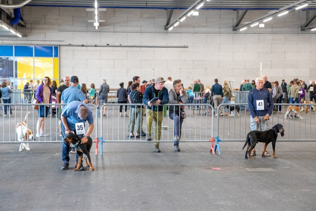 Groupement romand du club suisse du chien courant