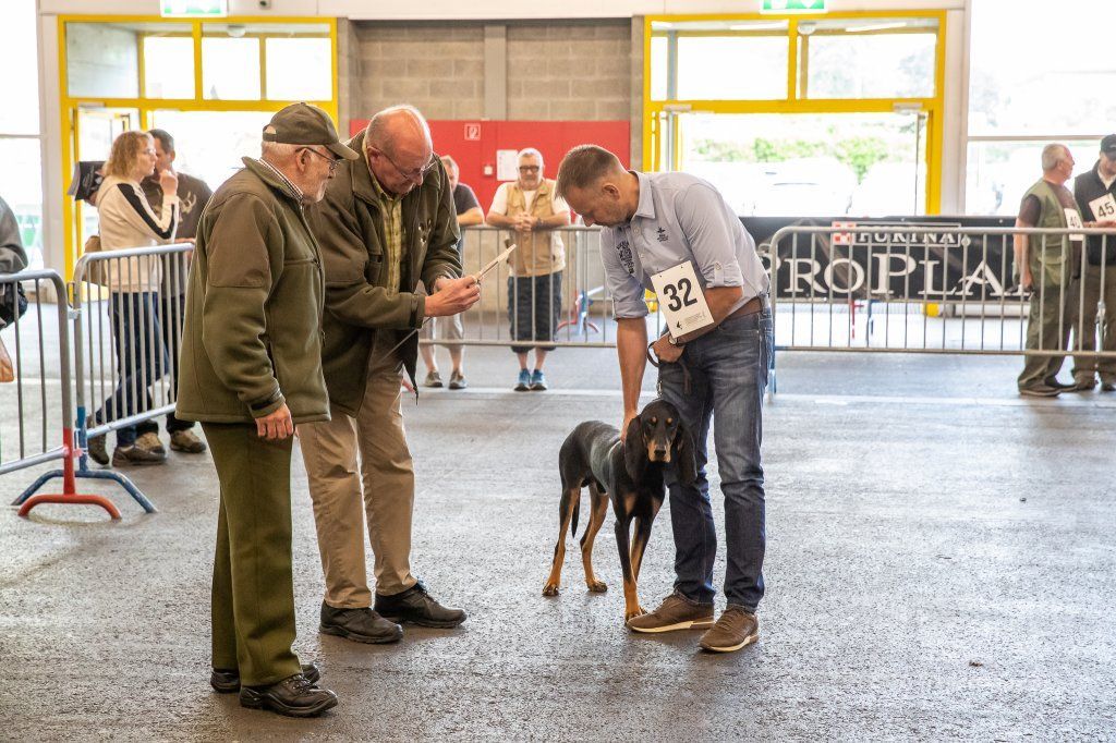 Groupement romand du club suisse du chien courant