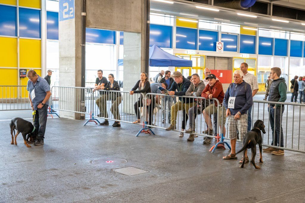 Groupement romand du club suisse du chien courant