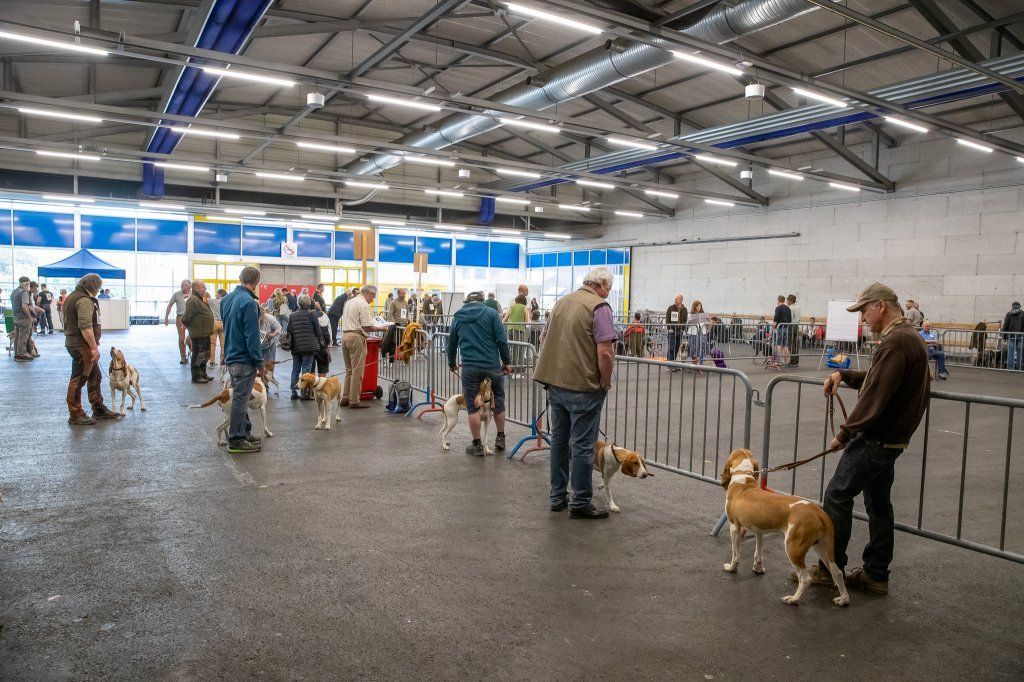 Groupement romand du club suisse du chien courant