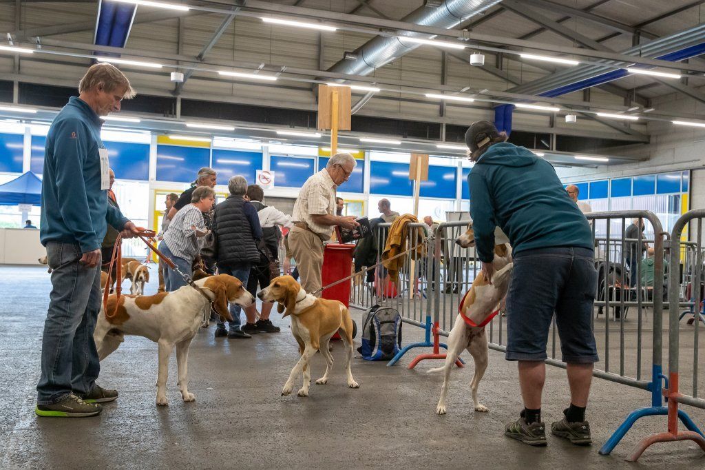 Groupement romand du club suisse du chien courant