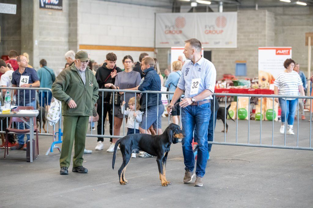 Groupement romand du club suisse du chien courant