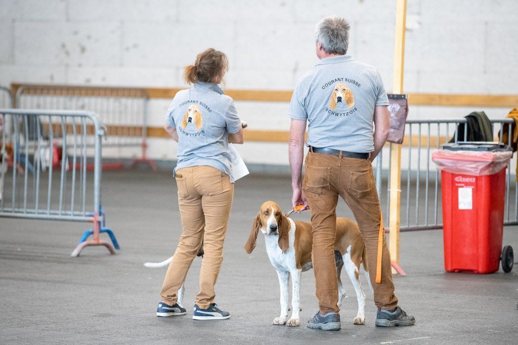 Groupement romand du club suisse du chien courant