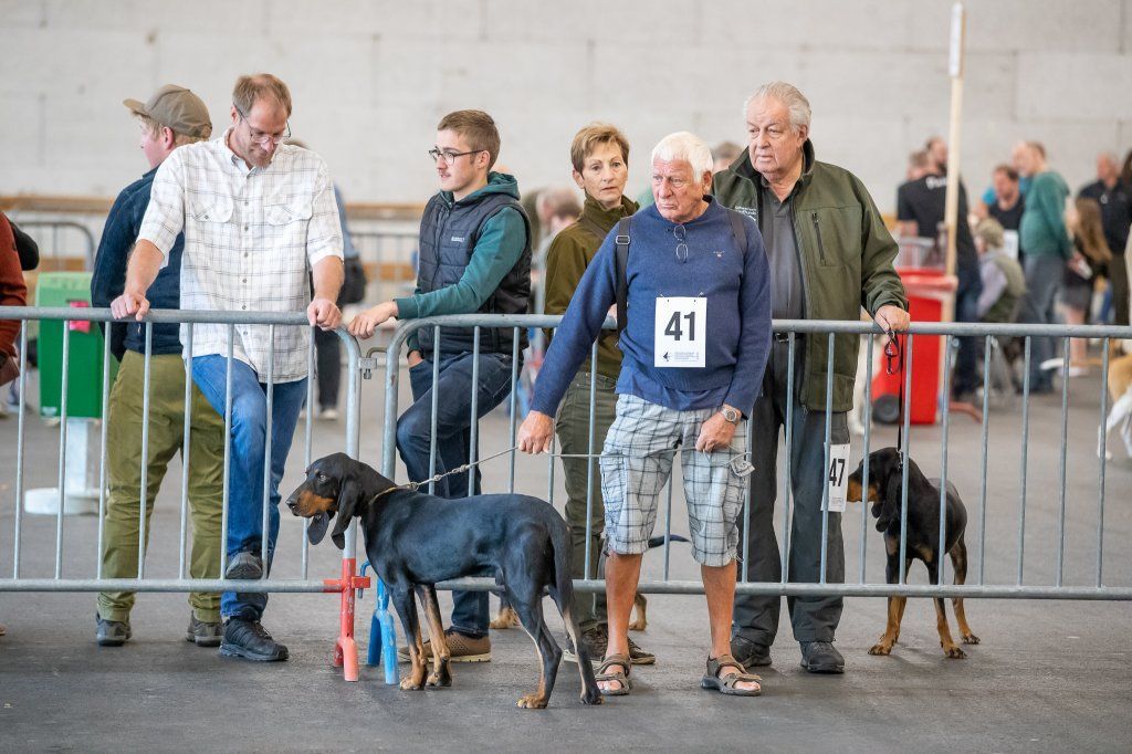 Groupement romand du club suisse du chien courant