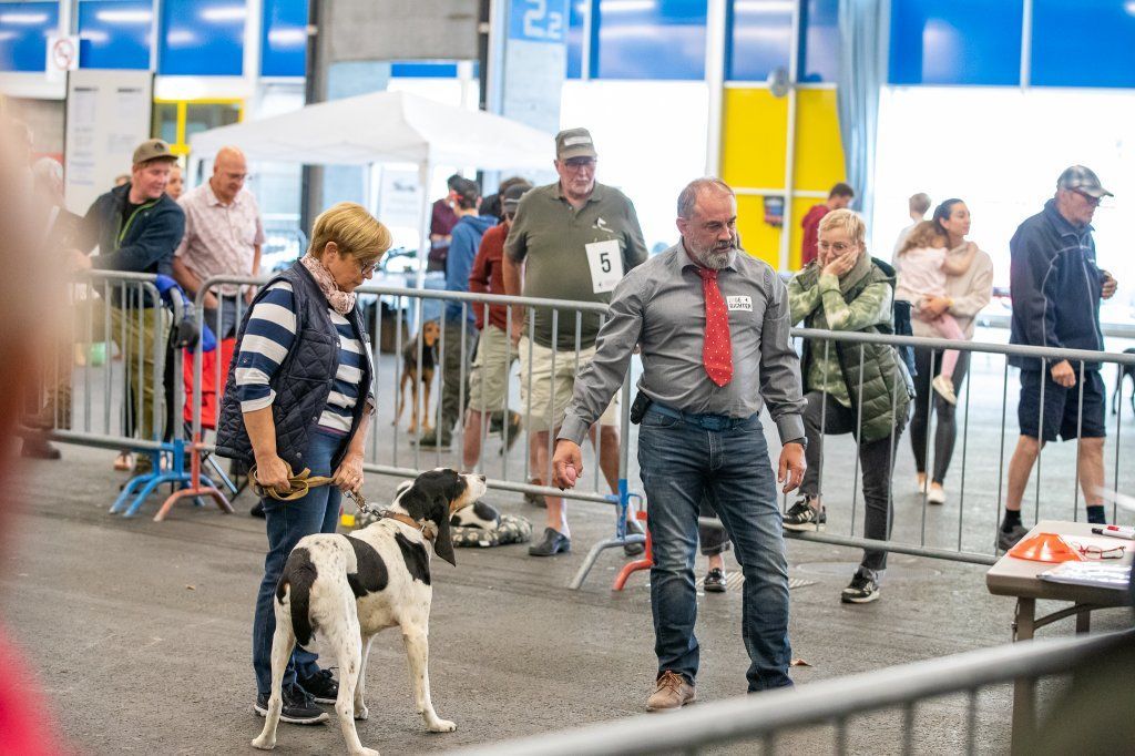 Groupement romand du club suisse du chien courant