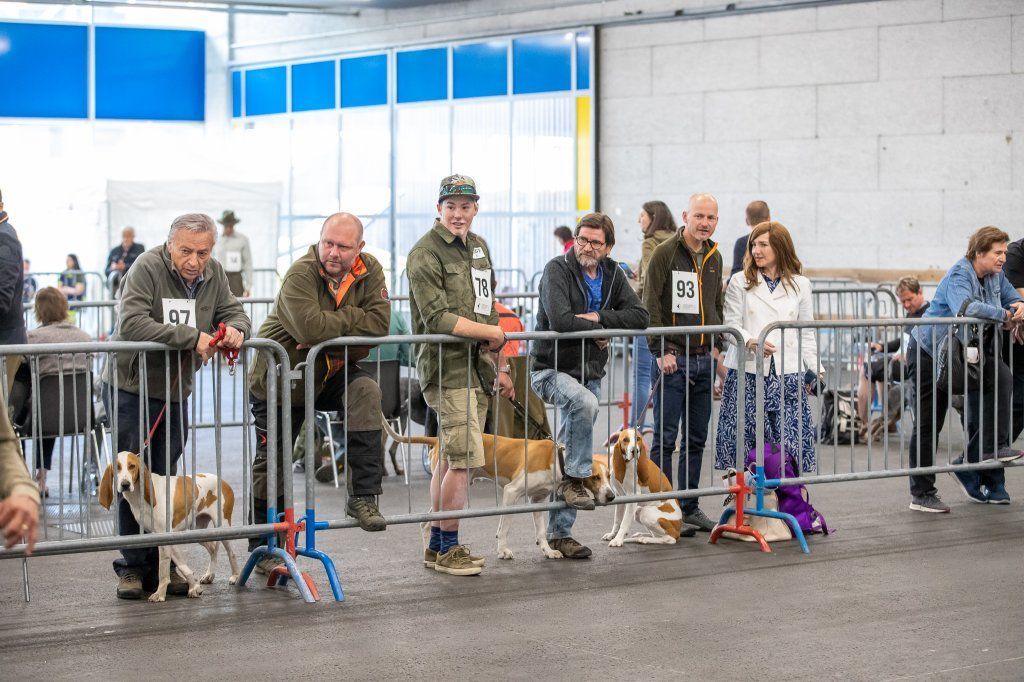 Groupement romand du club suisse du chien courant