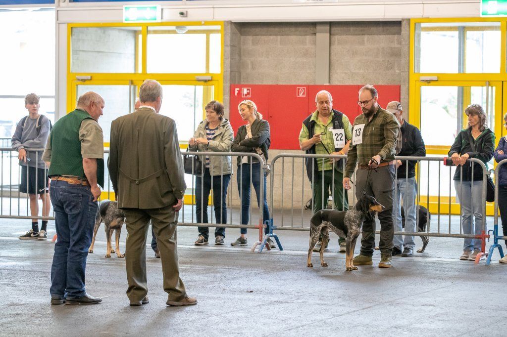 Groupement romand du club suisse du chien courant