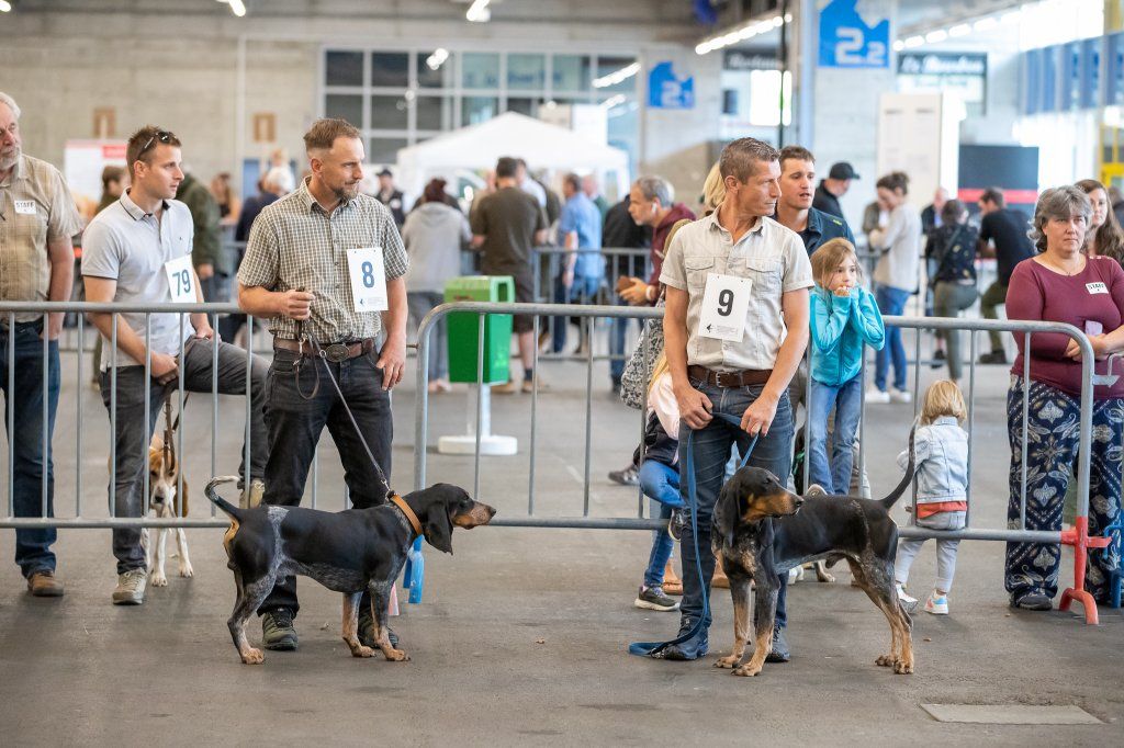 Groupement romand du club suisse du chien courant