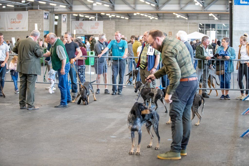 Groupement romand du club suisse du chien courant