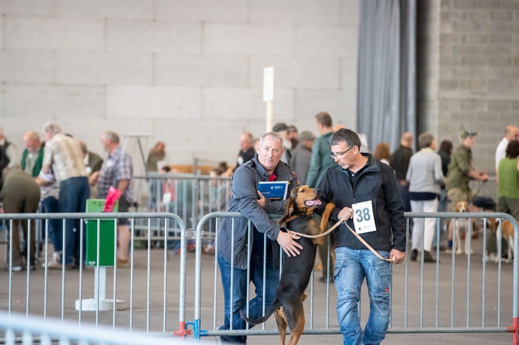 Groupement romand du club suisse du chien courant