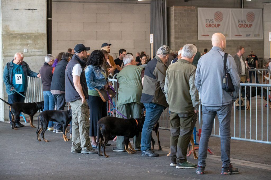 Groupement romand du club suisse du chien courant