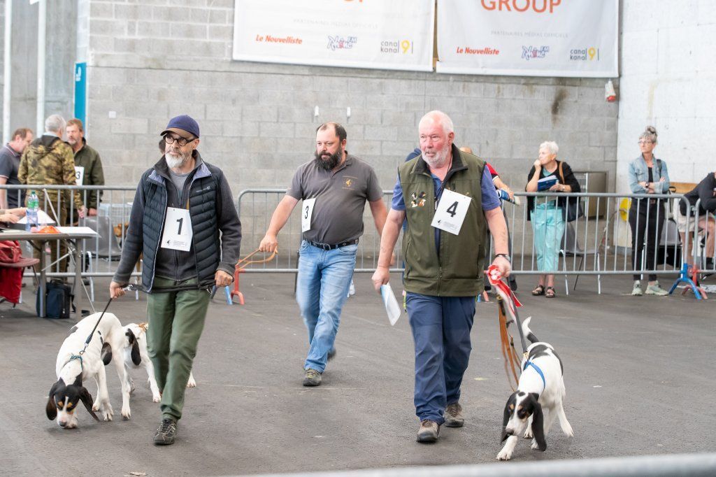 Groupement romand du club suisse du chien courant