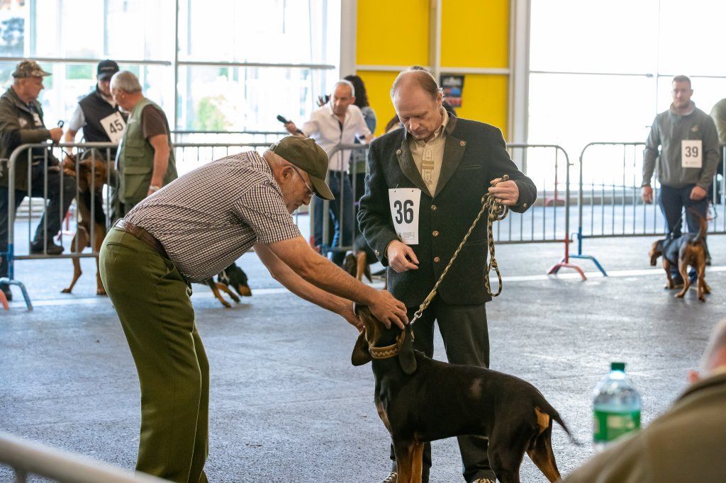 Groupement romand du club suisse du chien courant