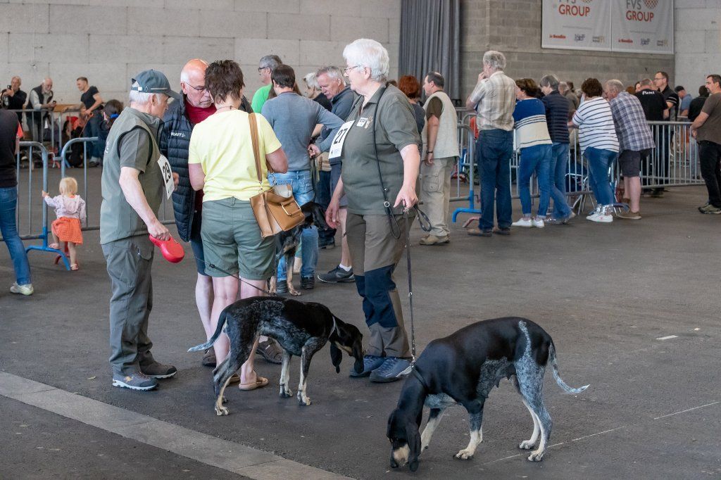 Groupement romand du club suisse du chien courant